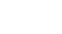 REPORT